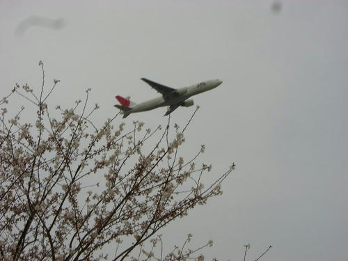 20080406_Narita_03.JPG