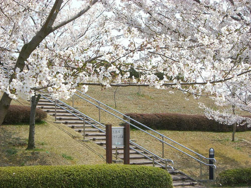 20080406_Narita_12.JPG