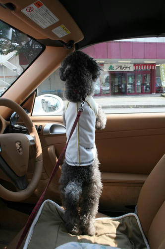 20080719_wak_10.jpg