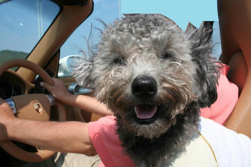 20080719_wak_05.jpg