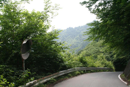 20080721_Kiri_10.jpg