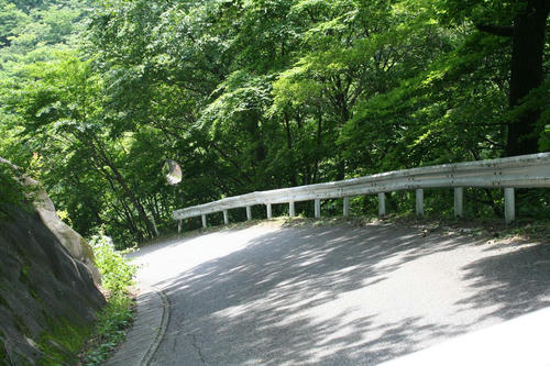 20080721_Kiri_07.jpg