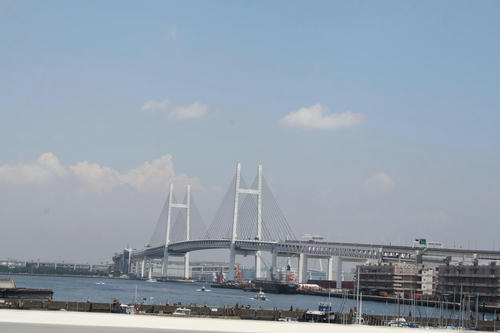 20080816_Yoko_00.jpg