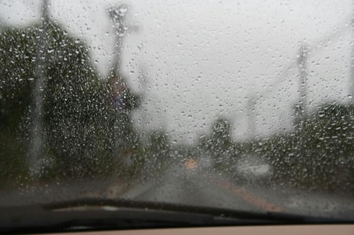 2008081_Z99_05.jpg