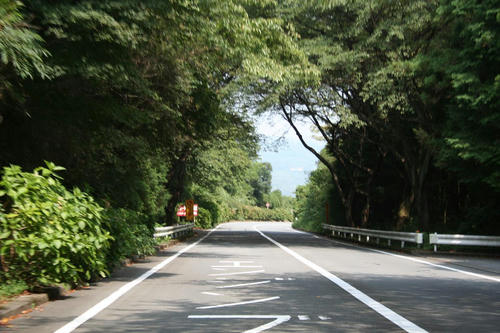 20080907_Hakone_025.jpg