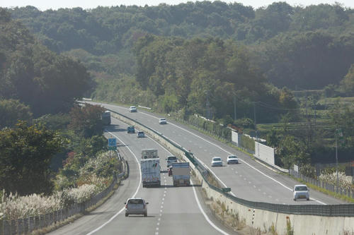 20081102_Shik_005.jpg