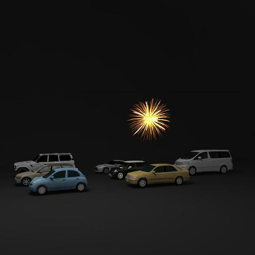 20081105_Fireworks_002.JPG