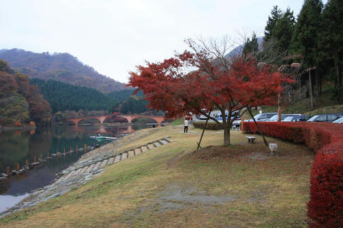 20081115_Kzawa_020.1.jpg