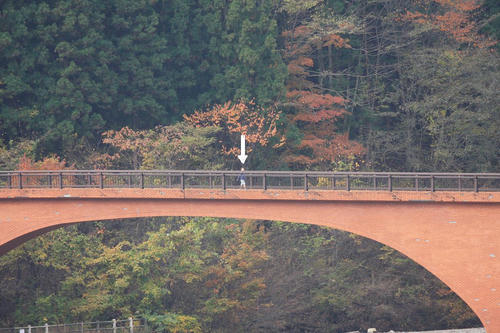 20081115_Kzawa_018.jpg