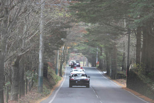 20081115_Kzawa_022.jpg