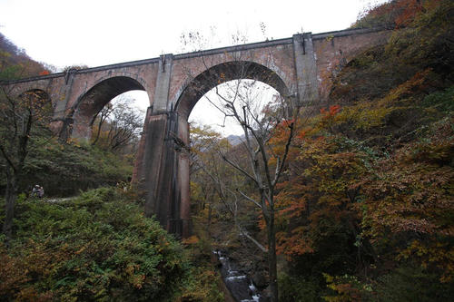 20081115_Kzawa_029.jpg