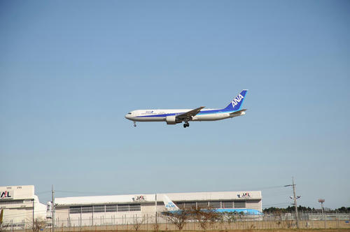 20081130_Nikon_002.jpg