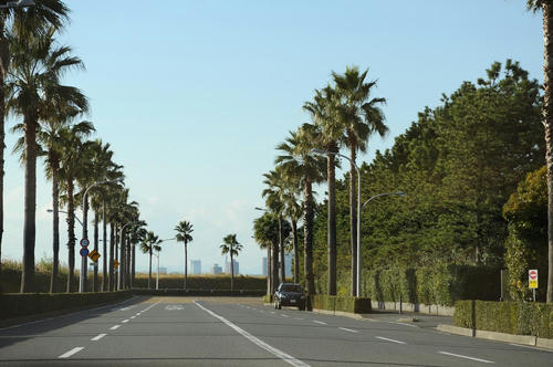 20081130_Nikon_008.jpg
