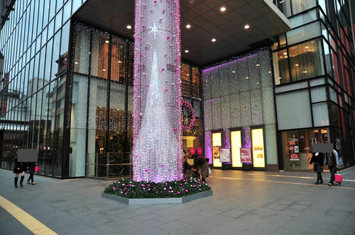 20081204_Kak_002.jpg