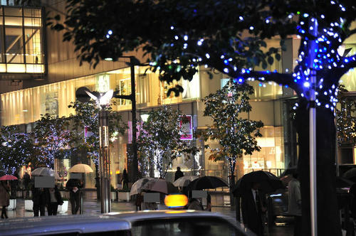20081204_Kak_004.jpg