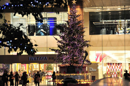 20081204_Kak_003.jpg