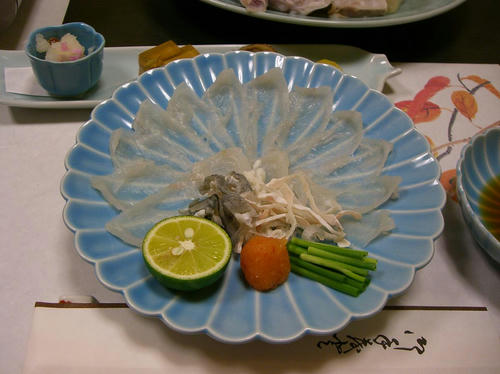 20081218_Ropp_001.jpg
