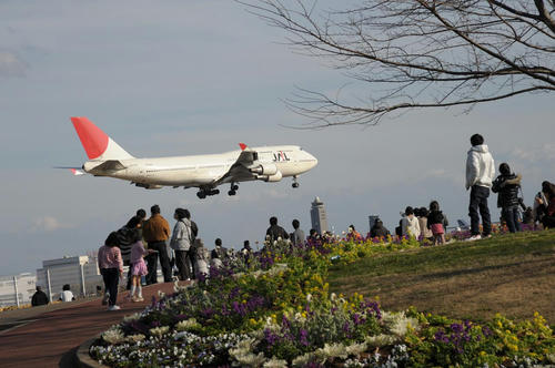 20081221_Narita_001.jpg