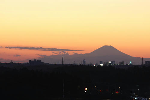 20090104_Narita_008.jpg