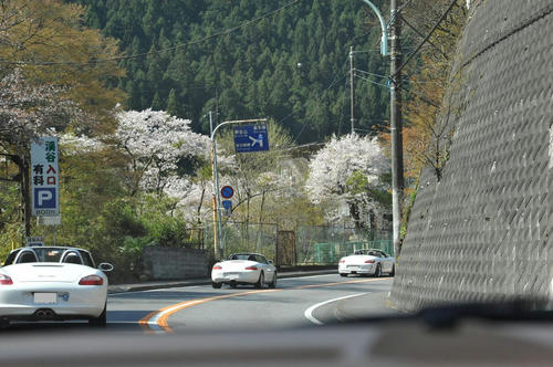 20090411_Oku_004.jpg