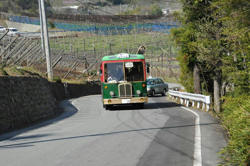 20090411_Oku_039.jpg