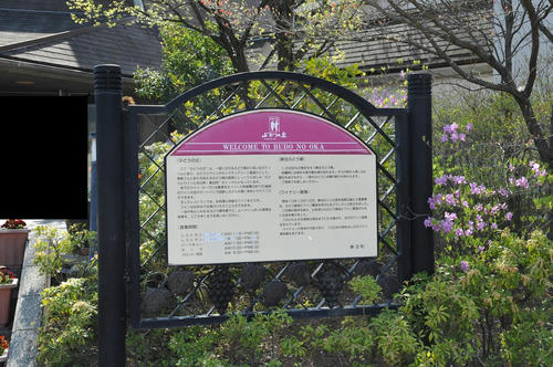 20090411_Oku_040.jpg