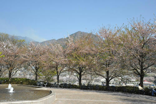 20090411_Oku_042.jpg
