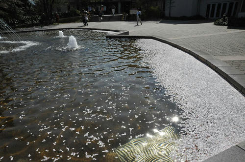 20090411_Oku_044.jpg