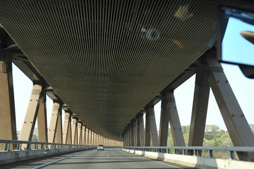 20090411_Oku_052.jpg