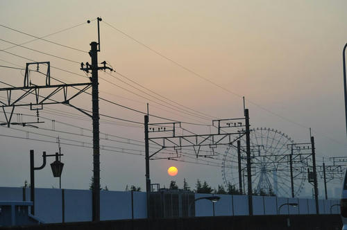 20090411_Oku_054.jpg