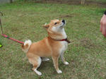 DSCF3259s.jpg