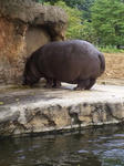 DVC00051.JPG