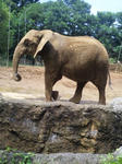 DVC00055.JPG