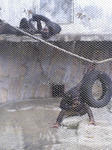 DVC00061.JPG