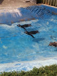 DVC00079.JPG
