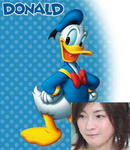 donaldduck_li_001.jpg