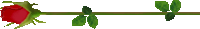 ts19-1-1.gif