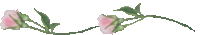 ts20-1-1.gif