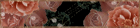 b-079-1.gif