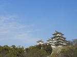 eb9759a8.jpg