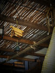 PA055751.jpg
