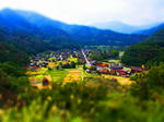 PA055823.jpg