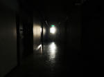 954204aa.jpg