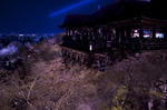 DSCF4170.jpg