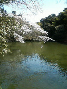 200904011143000.jpg