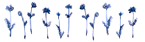 w138.gif