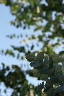 IMG_5857.JPG