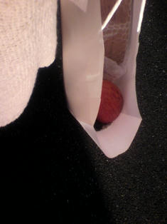 2009121214550000.jpg