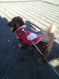 2009122014400000.jpg