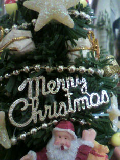 2009122421160001.jpg